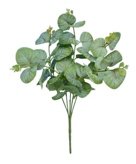 Eucalyptus Leaf Bush X5 – H35cm (DXS-56) – SunEnergy Floral