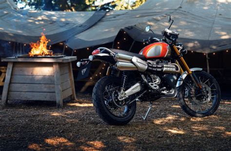 Triumph Announces New Scrambler Gold Line Edition Adv Pulse