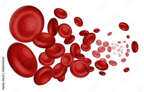 Flowing Red Blood Cells on white background, 3D realistic vector ...