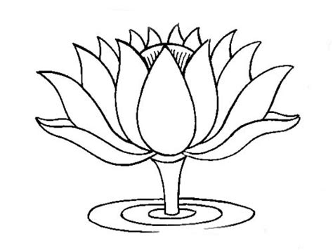 Lotus Flower Pencil Drawing at GetDrawings | Free download