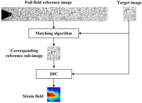 In Situ Measurement Of The Strain Field At The Fatigue Crack Tip Based