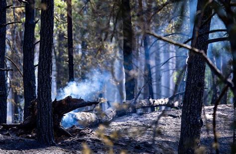 Hunderte Einsatzkr Fte K Mpfen Gegen Waldbr Nde