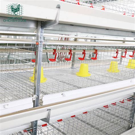 H Type Raising Laying Battery Automatic Broiler Chicken Cage For Farms