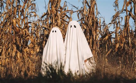 Premium Photo Cute Ghosts In Cornfield Background