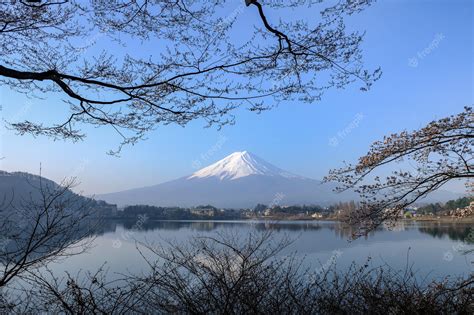 Premium Photo | Mount fuji sunrise