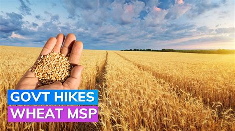 Government Hikes Wheat MSP By Rs 150 To Rs 2 275 Per Quintal For 2024