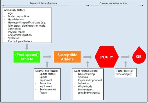 An Example Of A Comprehensive Model For Injury Causation Showing