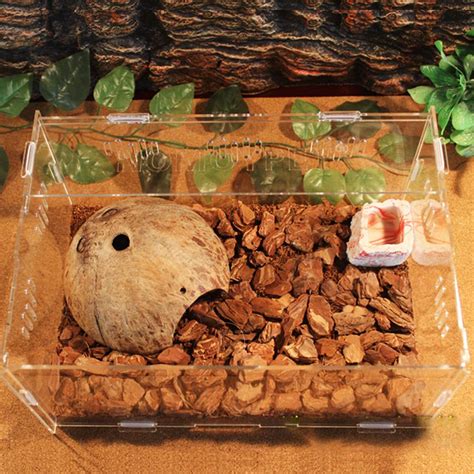 Reptile Tank Insect Spiders Tortoise Lizard Acryli Grandado