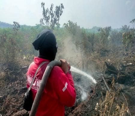 Hotspot Riau Terdeteksi Cuma 2 Titik Ini Lokasinya Sumber