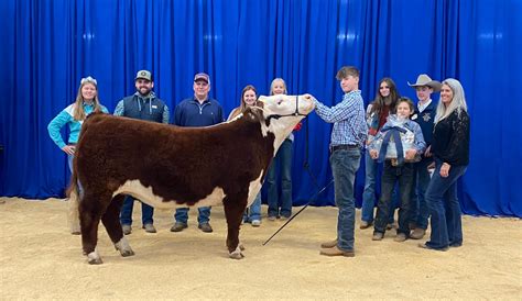 Hays County Youth Livestock Show - Texas Regional Bank