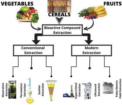 Full Article Traditional And Innovative Approaches For The Extraction