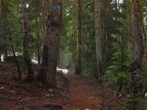 Pacific Crest National Scenic Trail – National Trails Guide