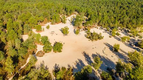 Insolite près de Paris une immense mer de sable Paris Secret