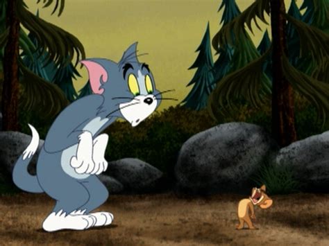 Best Buy: Tom and Jerry: Tales, Vol. 4 [DVD]