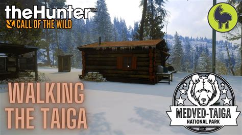 Walking The Taiga Medved Taiga Thehunter Call Of The Wild Ps K