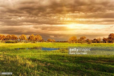 101 Sunset Over Okavango Delta Stock Photos, High-Res Pictures, and ...