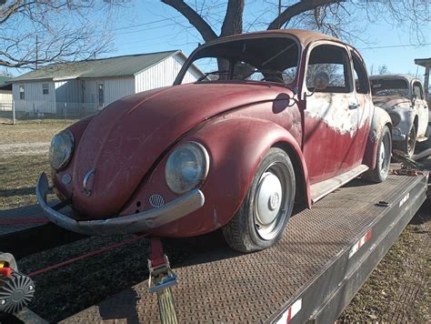 1967 Vw Beetle Classic Project Good Pan Drivetrain Delivery Possible Used Volkswagen Beetle