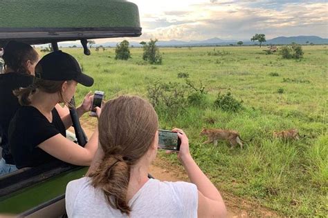 African Pangolin Safaris