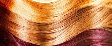 Permanent Hair Dye - Ingredient | Inside our products - L'Oréal