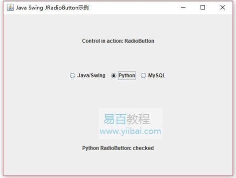 Swing JRadioButton类 Swing教程