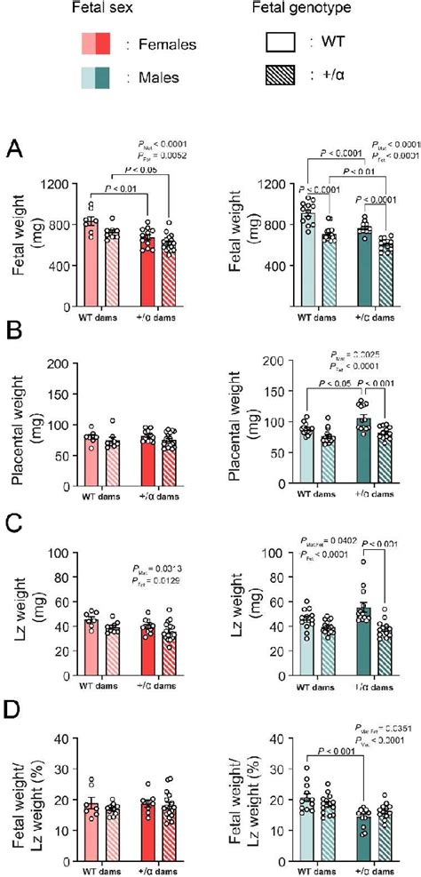 Table From Maternal And Fetal Pi K P Deficiency Induces Sex