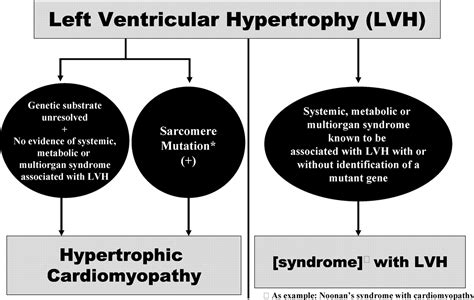 How should hypertrophic cardiomyopathy be classified? | Circulation: Cardiovascular Genetics