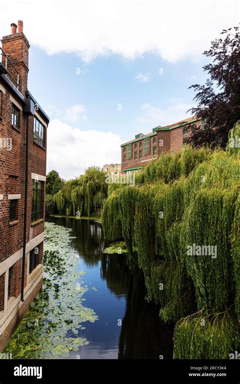 The river Ouse in York City UK, River Ouse, River Ouse York, York river ...