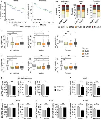 Stat1 Is A Sex‐specific Tumor Suppressor In Colitis‐associated