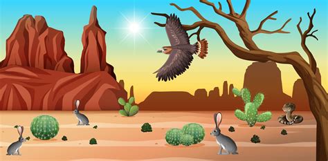 Desert Animals Cartoon - Desert Animal Clipart Animal Clipart Desert ...