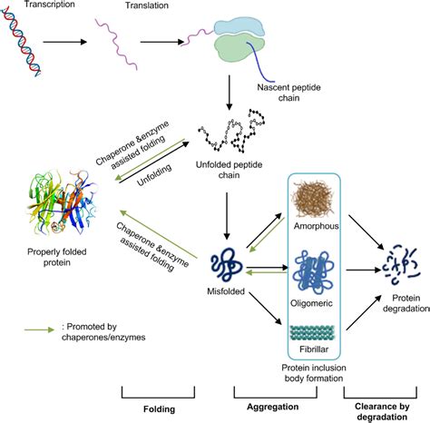 Frontiers Challenges Associated With The Formation Of Recombinant