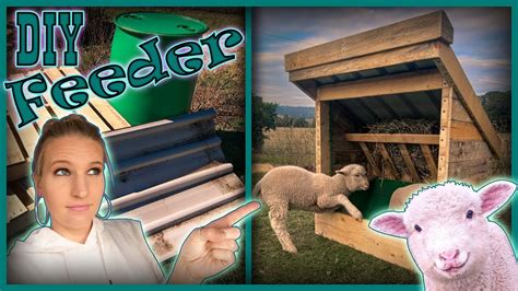 How To Build A Livestock Feeder Diy Feed Trough Easy Animal Trough