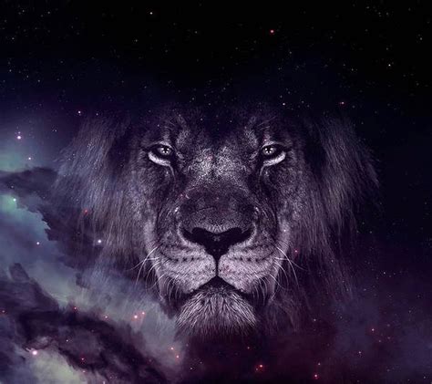 Top 999 Galaxy Lion Wallpaper Full Hd 4k Free To Use