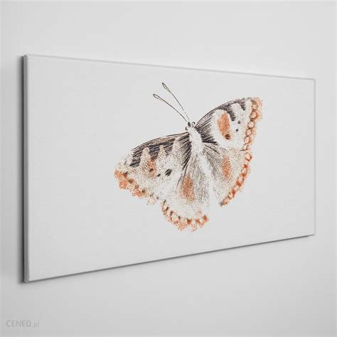 Coloray Obraz Canvas Bug Owad Motyl 140x70 Cm OCH515470140X70CM