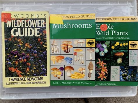 Choosing Field Guides With Videosdonna L Long