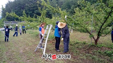 한전 봉화지사 “우박피해 농가 일손돕기”나서다경뉴스