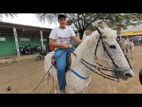 Feira De Cavalos Em Bezerros Pe Youtube