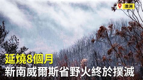 延燒8個月 澳洲新南威爾斯省野火終於撲滅 新唐人亞太電視台