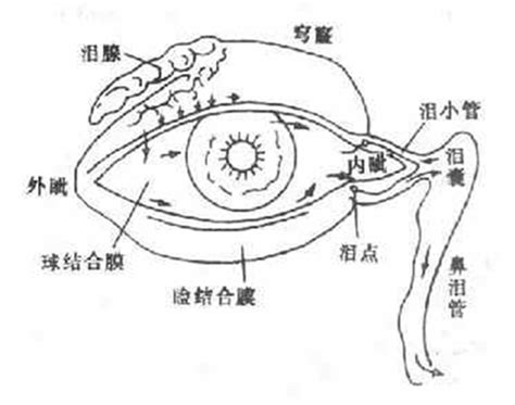 泪道阻塞【多图】39医疗图集 39健康网