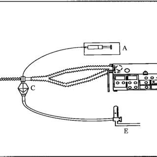 IAP delivery system. A syringe pump delivering epoprostenol solution; B... | Download Scientific ...