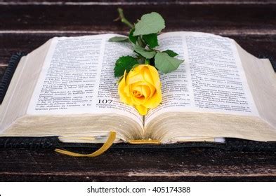 844 Open Bible With Roses Images, Stock Photos & Vectors | Shutterstock