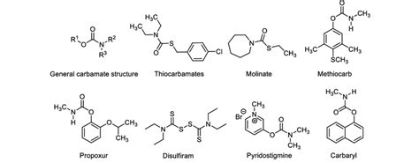 Chemical structure of some carbamate and thiocarbamates pesticides ...