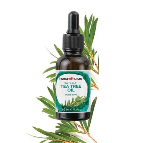 10 Best Tea Tree Oils In Philippines 2024 Uses And Benefits