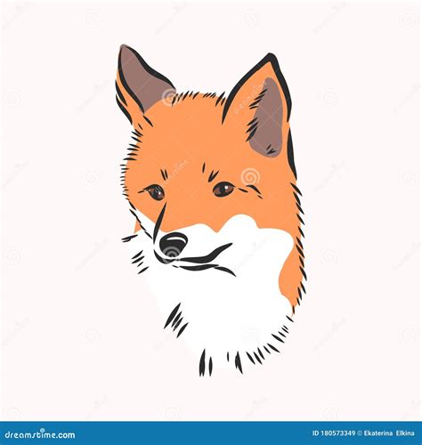 Fox Portrait Hand Drawn Vector Illustration Can Be Used Separately