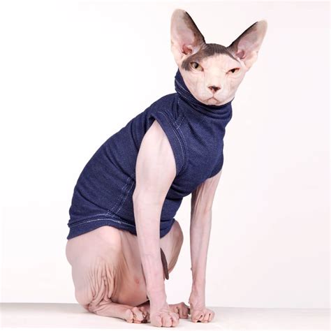 The Skinny Jean Sphynx Cat Clothes Sphynx Cat Cat Clothes