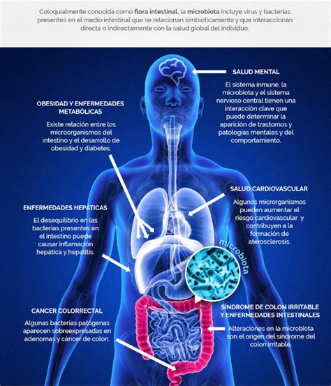 Microbiota salud y enfermedad Kunaq Cosmética Natural y Ecológica