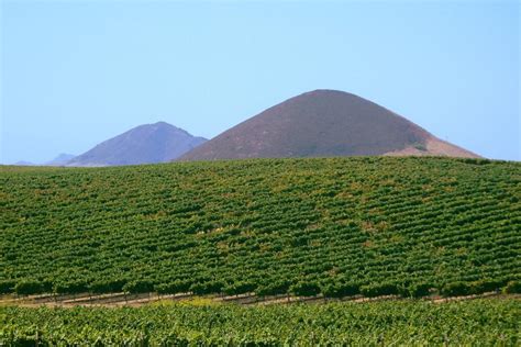 Edna Valley Wine Region - the drifting winemaker