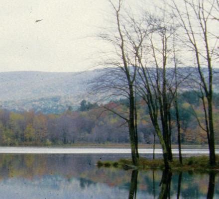 Clarksburg State Park | Mass.gov