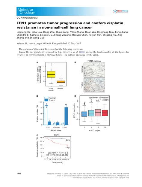 Pdf Fen1 Promotes Tumor Progression And Confers Cisplatin Resistance