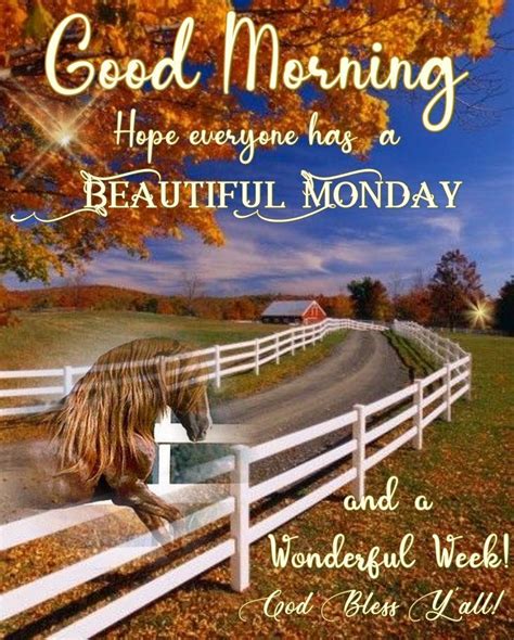 Good Morning Hope Everyone Has A Beautiful Monday Pictures Photos