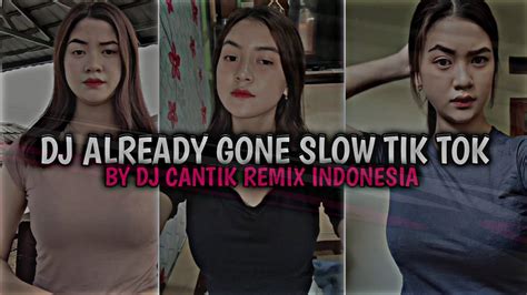 DJ ALREADY GONE SLOW TIK TOK BY DJ CANTIK REMIX INDONESIA YouTube